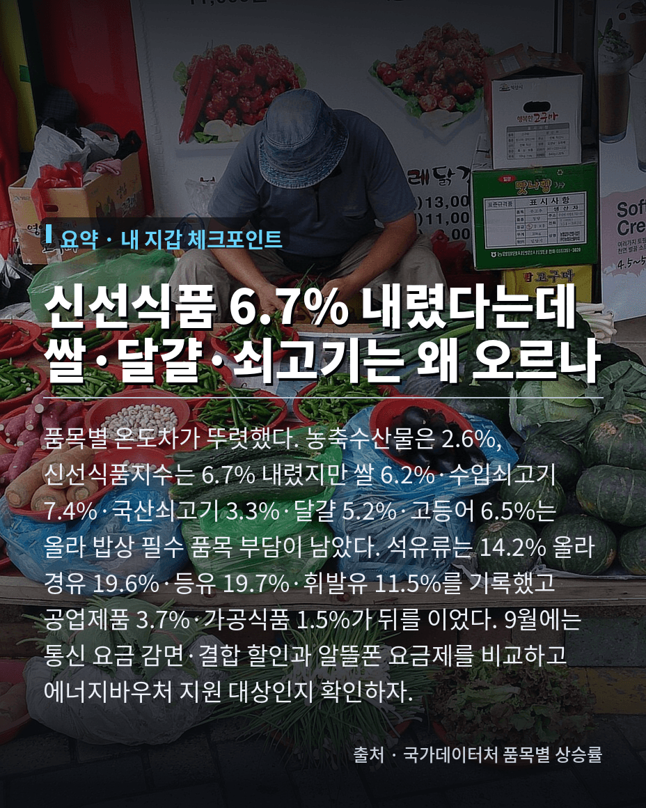 품목별 온도차 뚜렷 및 9월 지갑 체크포인트 와이드 카드뉴스